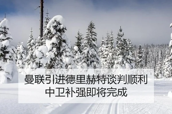 曼联引进德里赫特谈判顺利 中卫补强即将完成